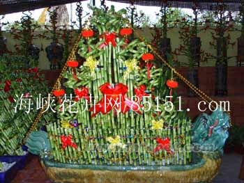 花卉