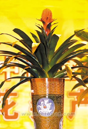 ����������